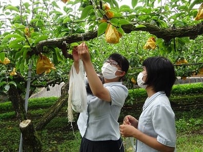 活動の写真1